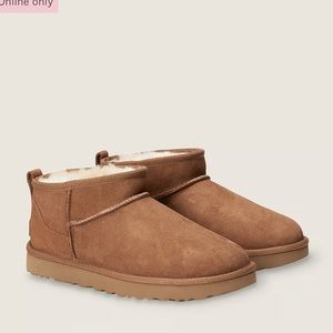 Ultra mini chestnut Uggs with box!
